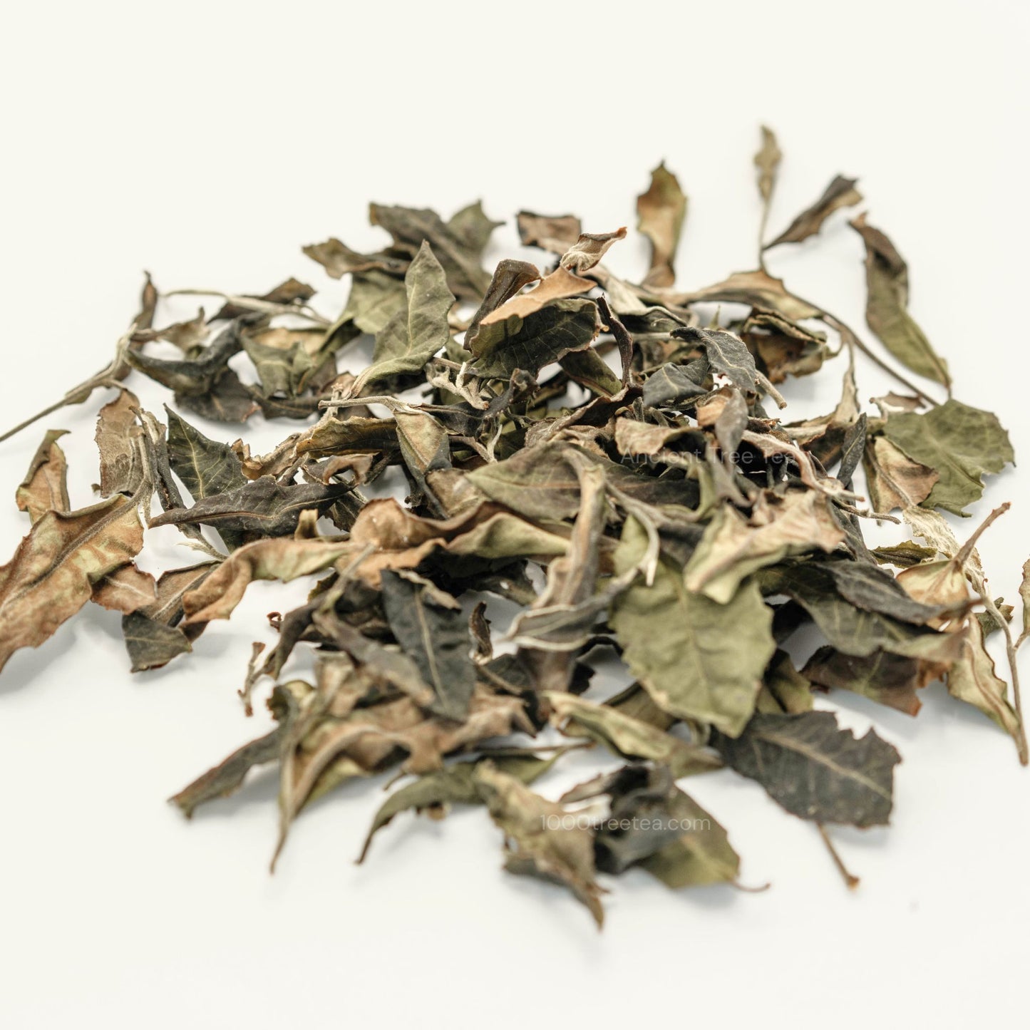 Ancient Tree White Tea: Loose Leaf