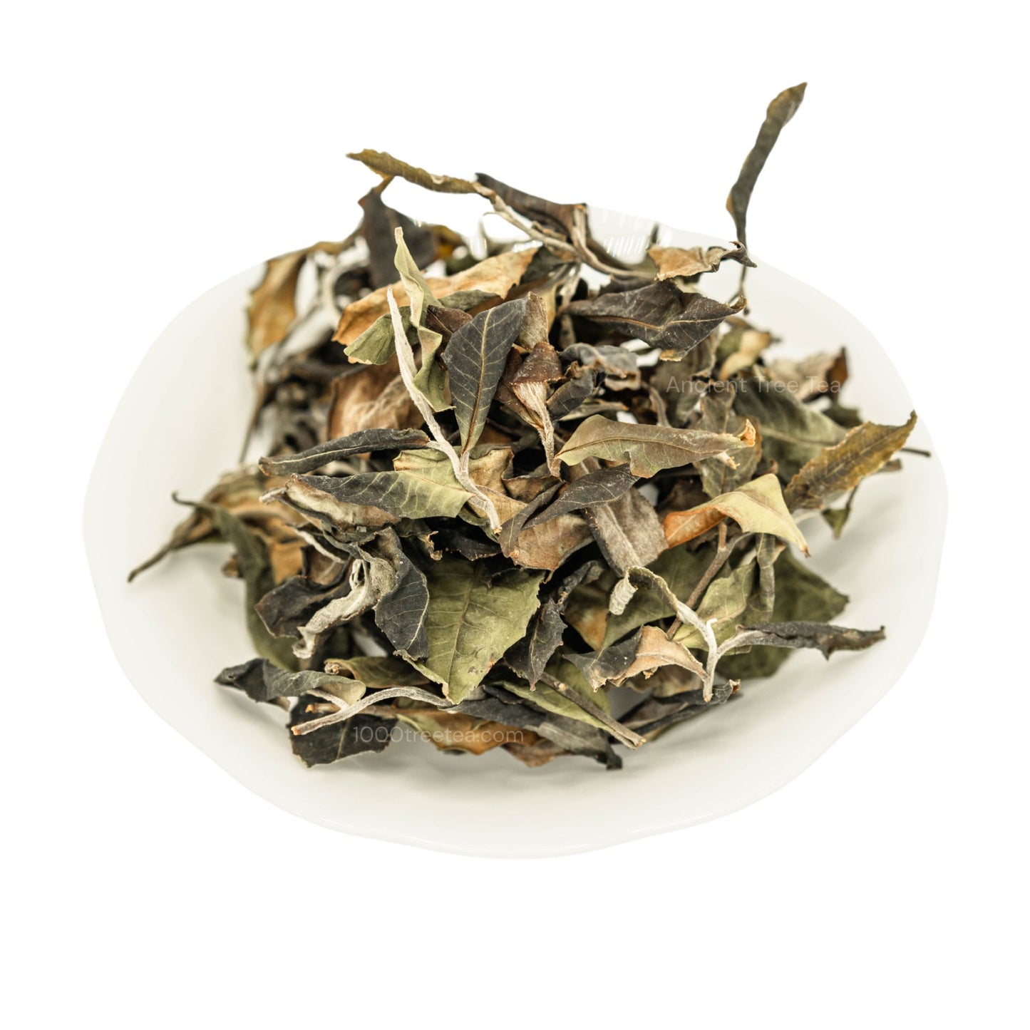 Ancient Tree White Tea: Loose Leaf