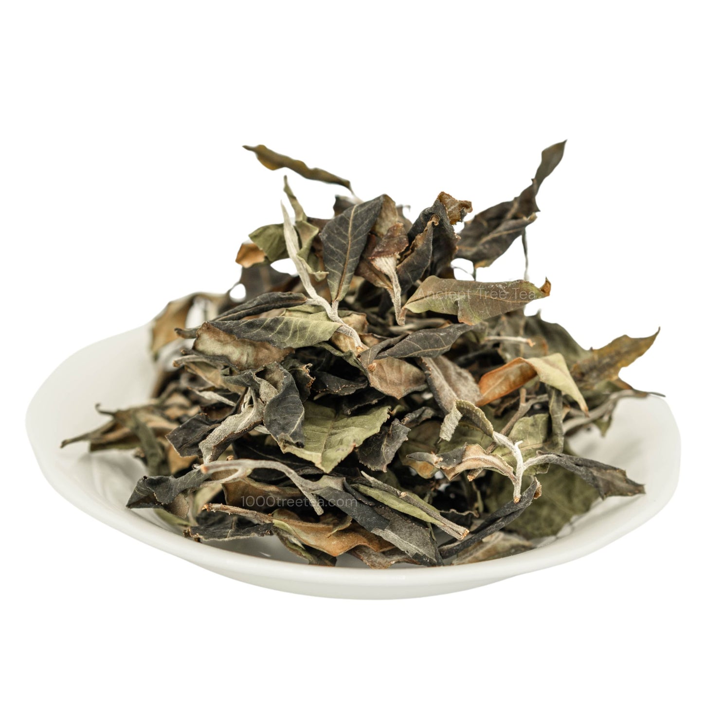 Ancient Tree White Tea: Loose Leaf