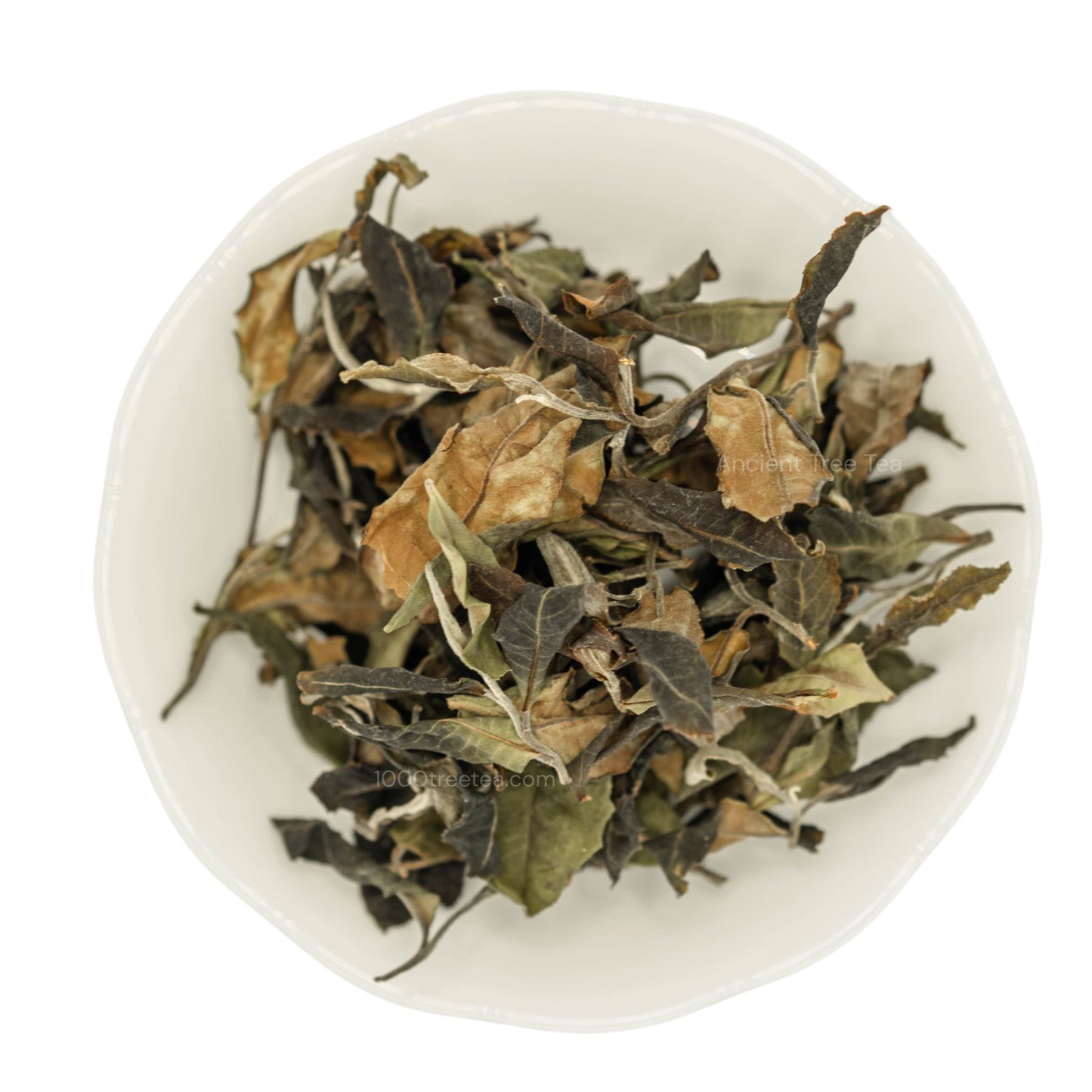 Ancient Tree White Tea: Loose Leaf