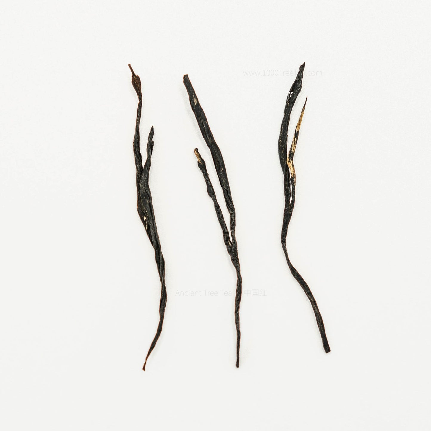 Ancient Red · Wild Black Tea from Ancient Trees