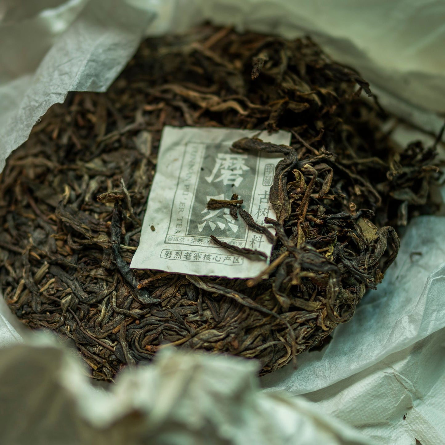Té Pu-erh Crudo de Árbol Antiguo – Mo Lie