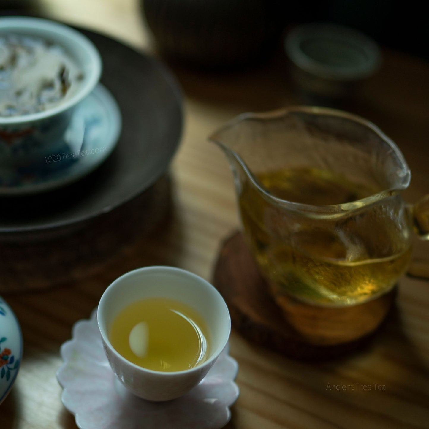 Té Pu-erh Crudo de Árbol Antiguo – Mo Lie