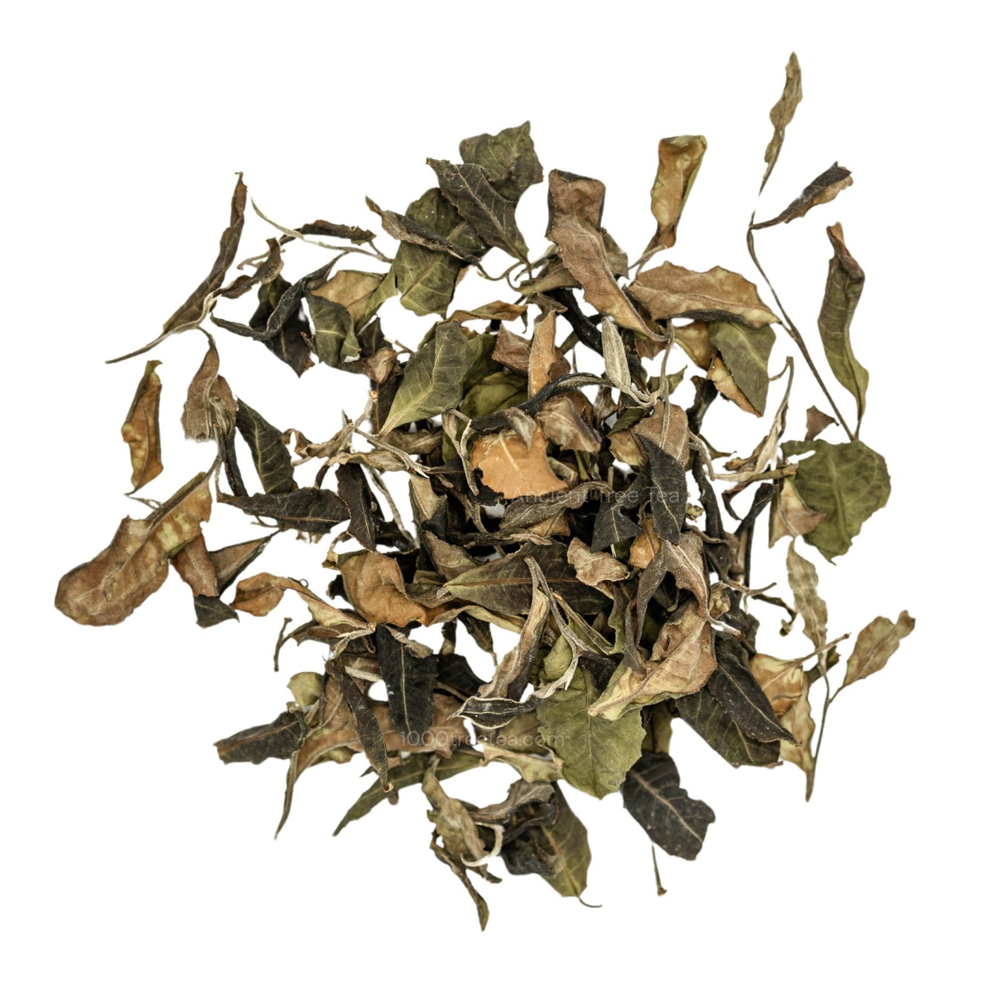 Ancient Tree White Tea: Loose Leaf