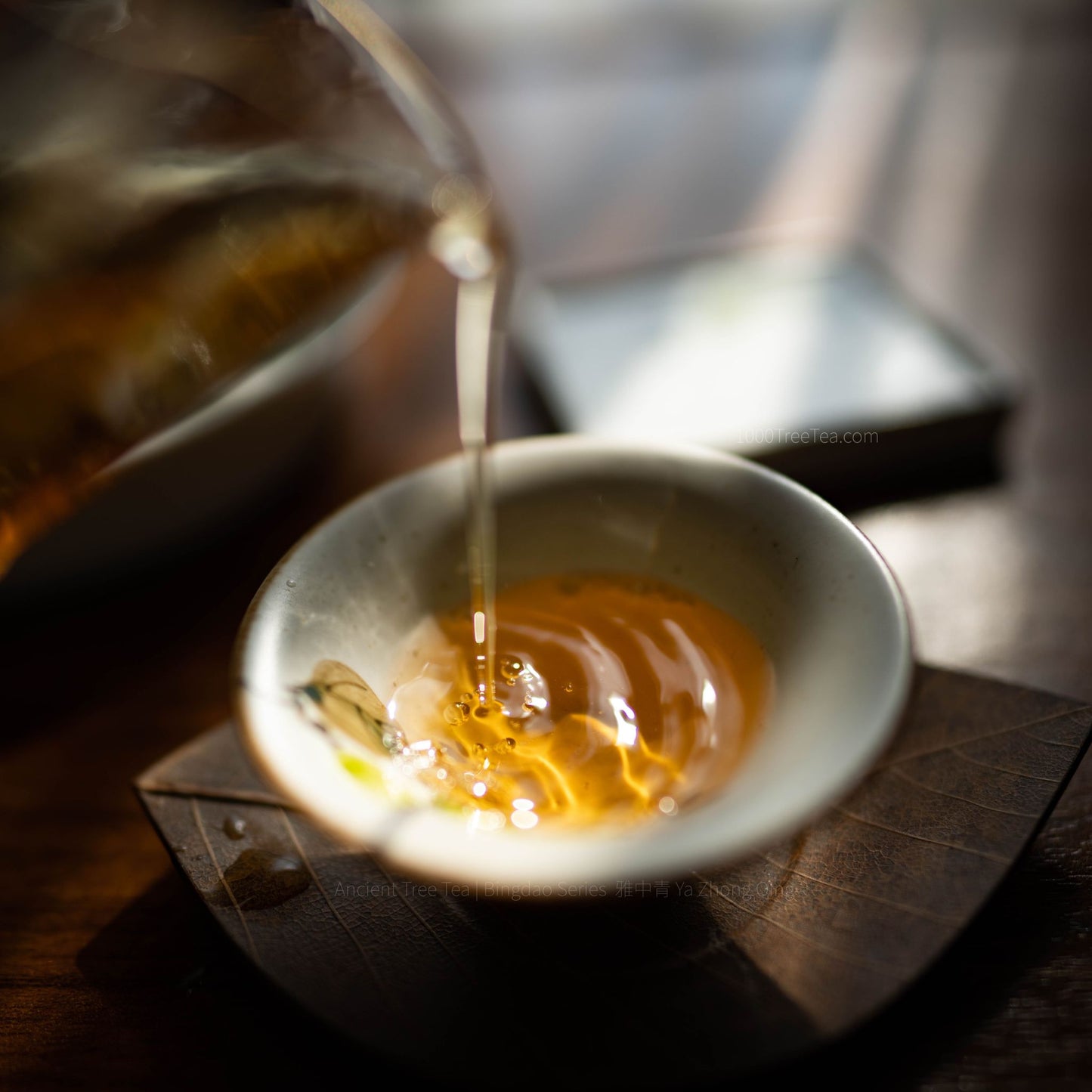 Bingdao Mingzhu | Ancient Tree Raw Pu-erh Tea Ball (Aged 5–6 Years)
